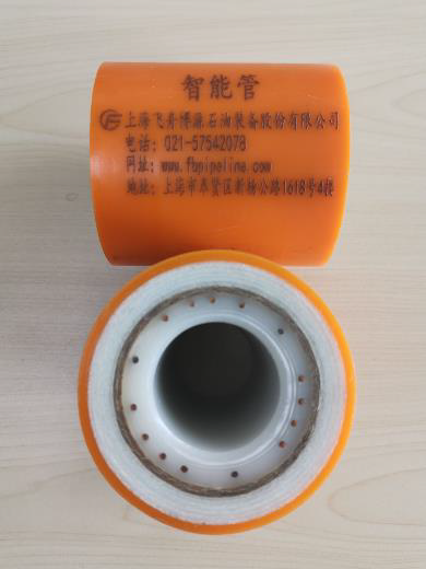 Shanghai F.B Oil Equipment intelligent composite pipe sample and cross section